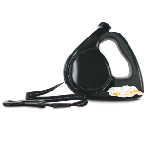 Leash PNG-72153